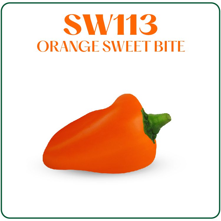 SW113
