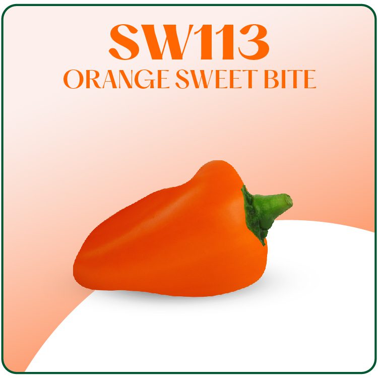 SW113