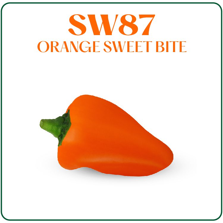 SW87