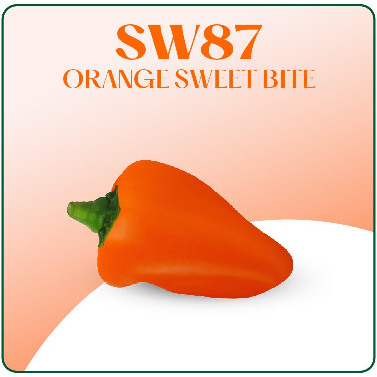 SW87