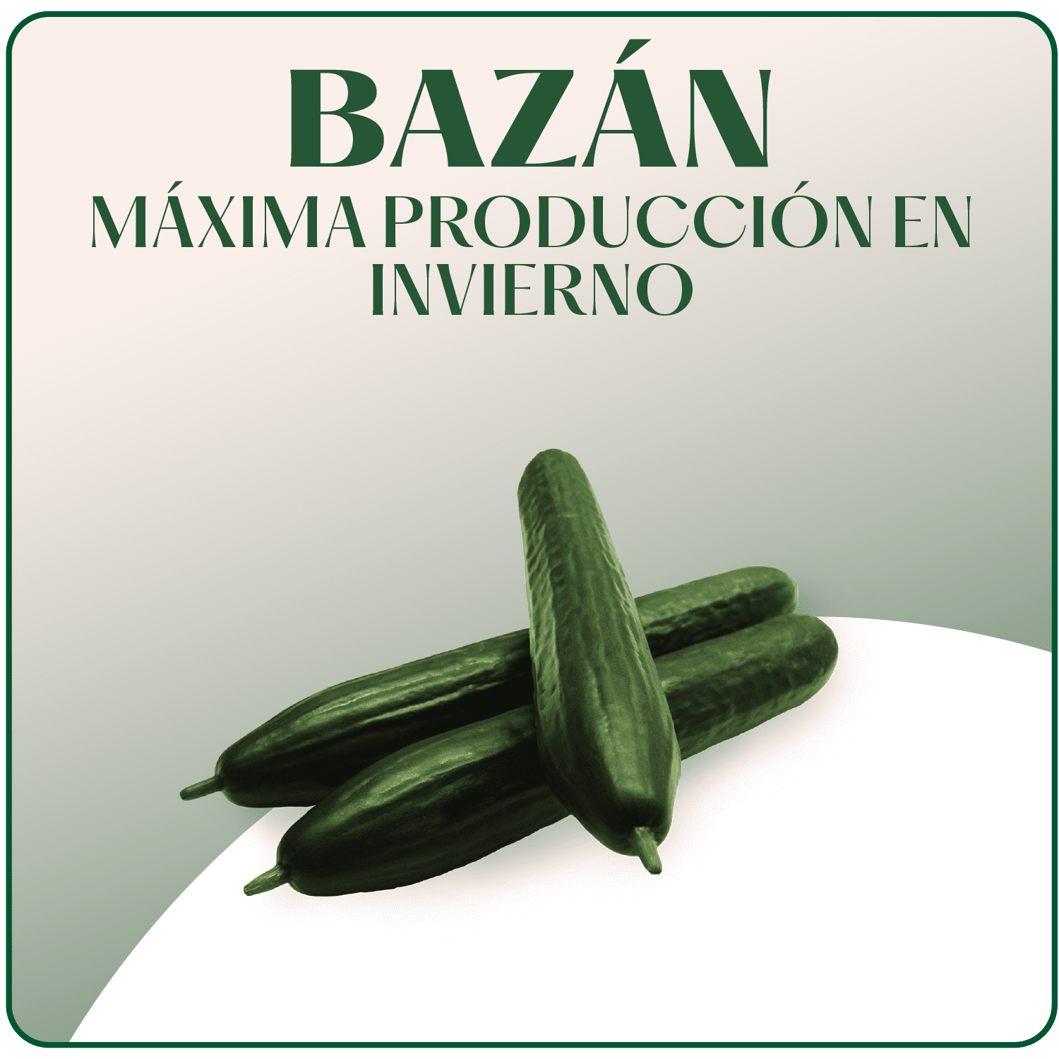 Pepino Bazan Surseeds Hover