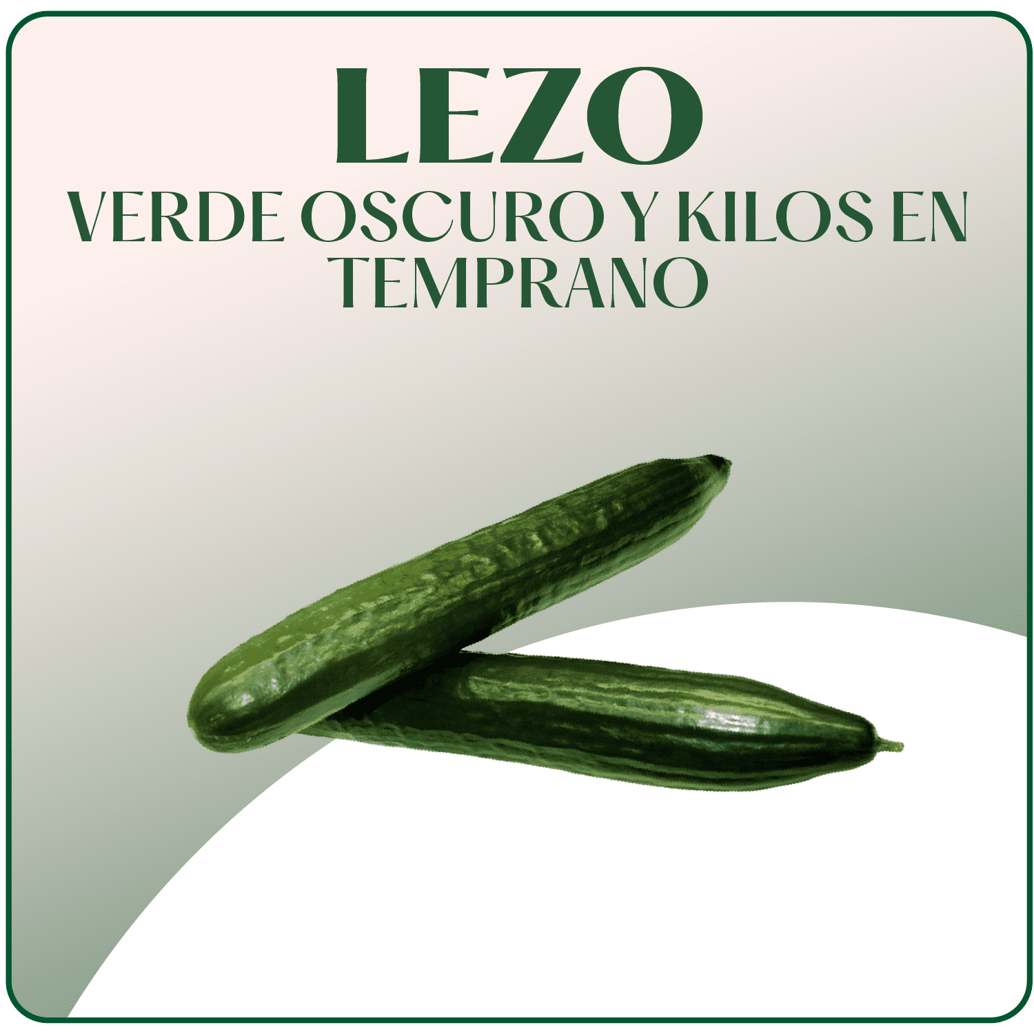 Pepino Lezo Surseeds Hover