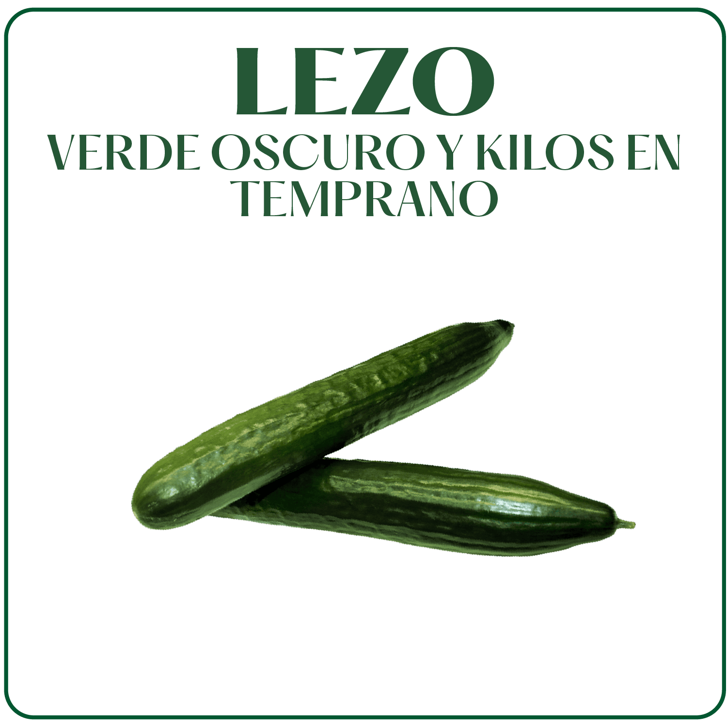 Pepino Lezo Surseeds