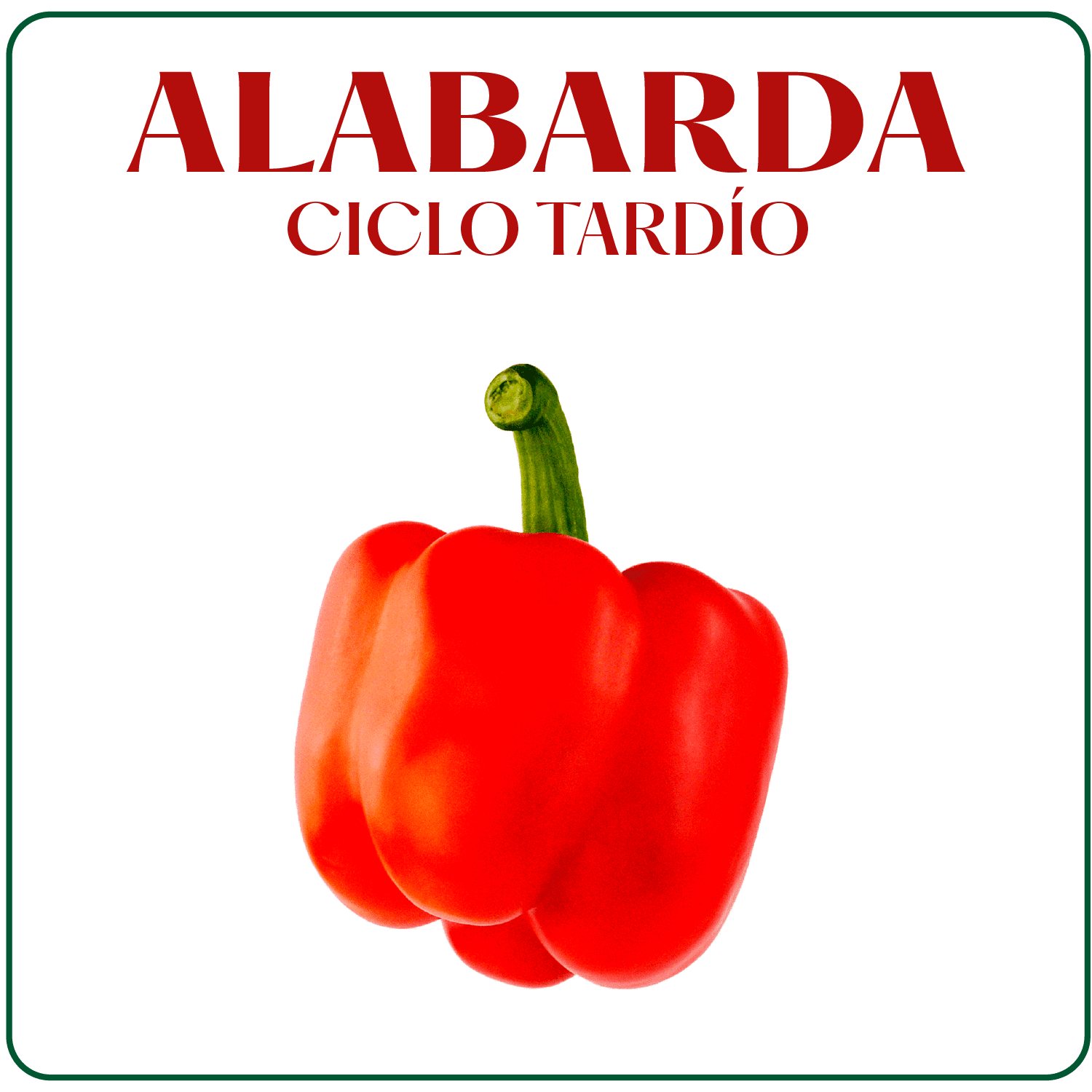 Alabarda