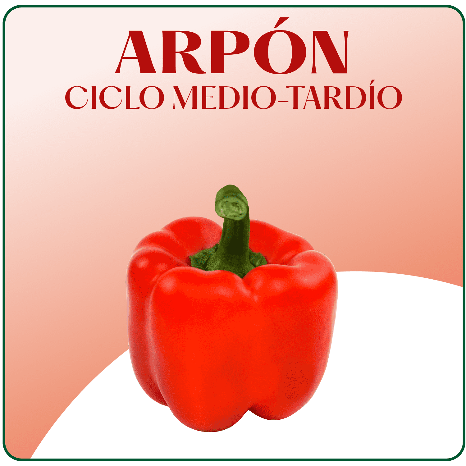 Arpon