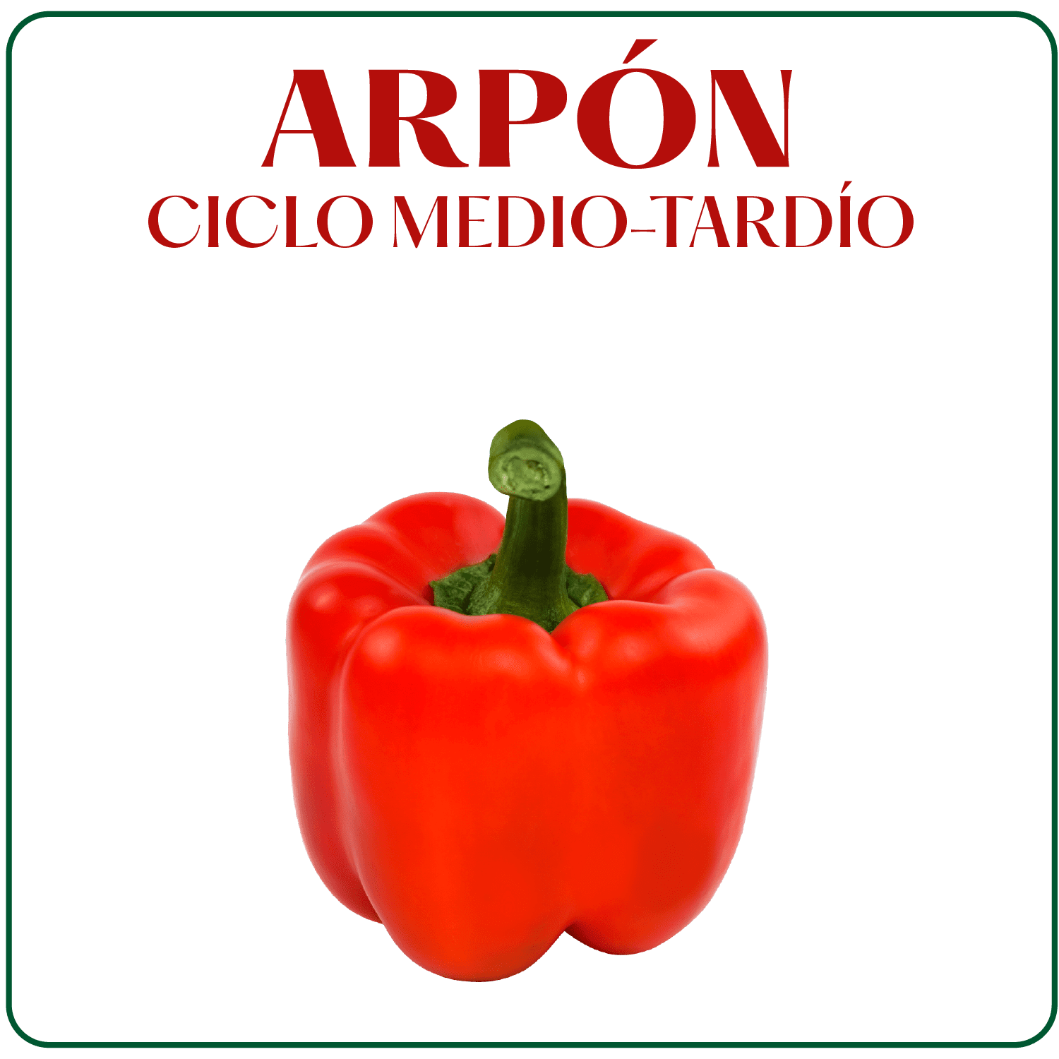 Arpon