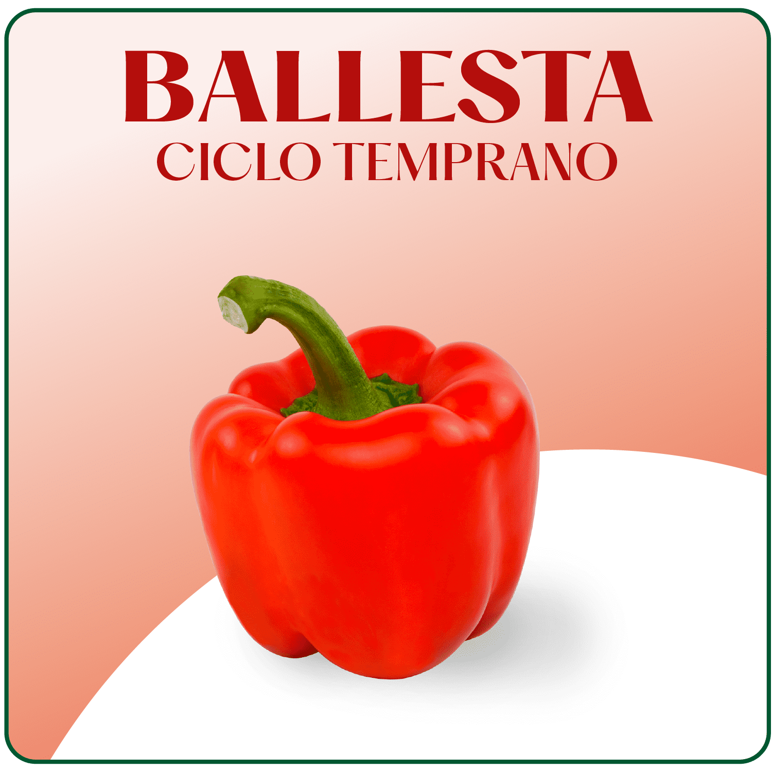 Ballesta