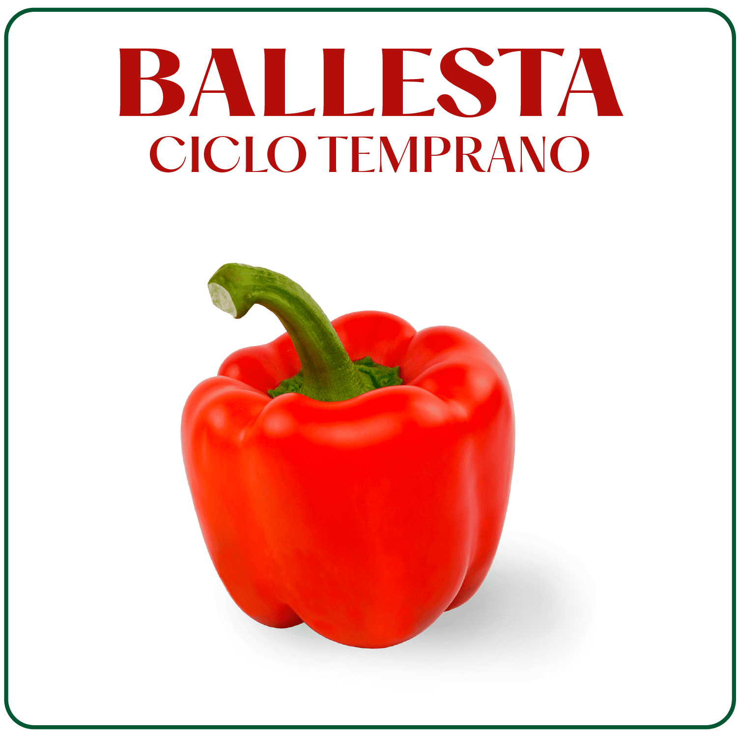 Ballesta