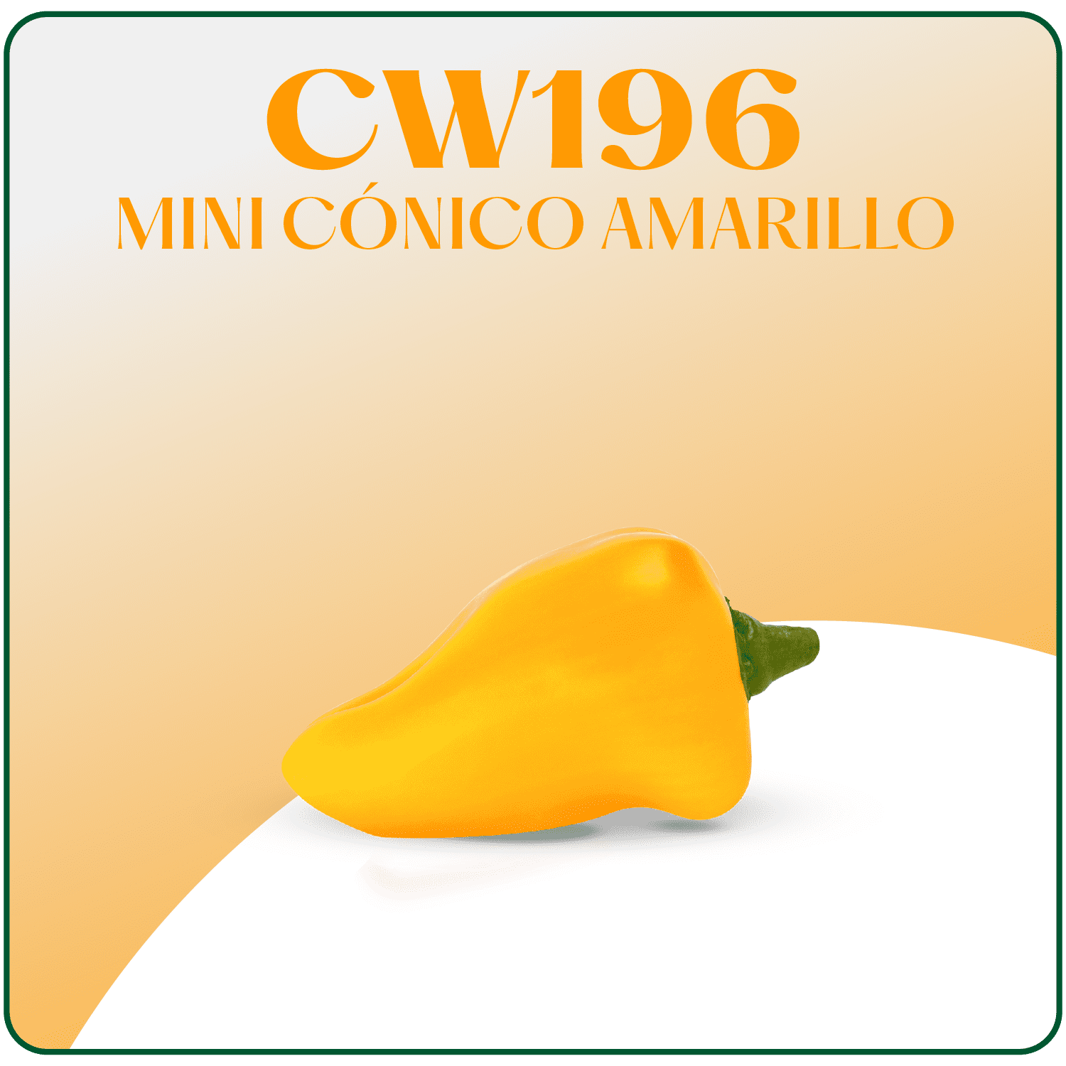 CW196