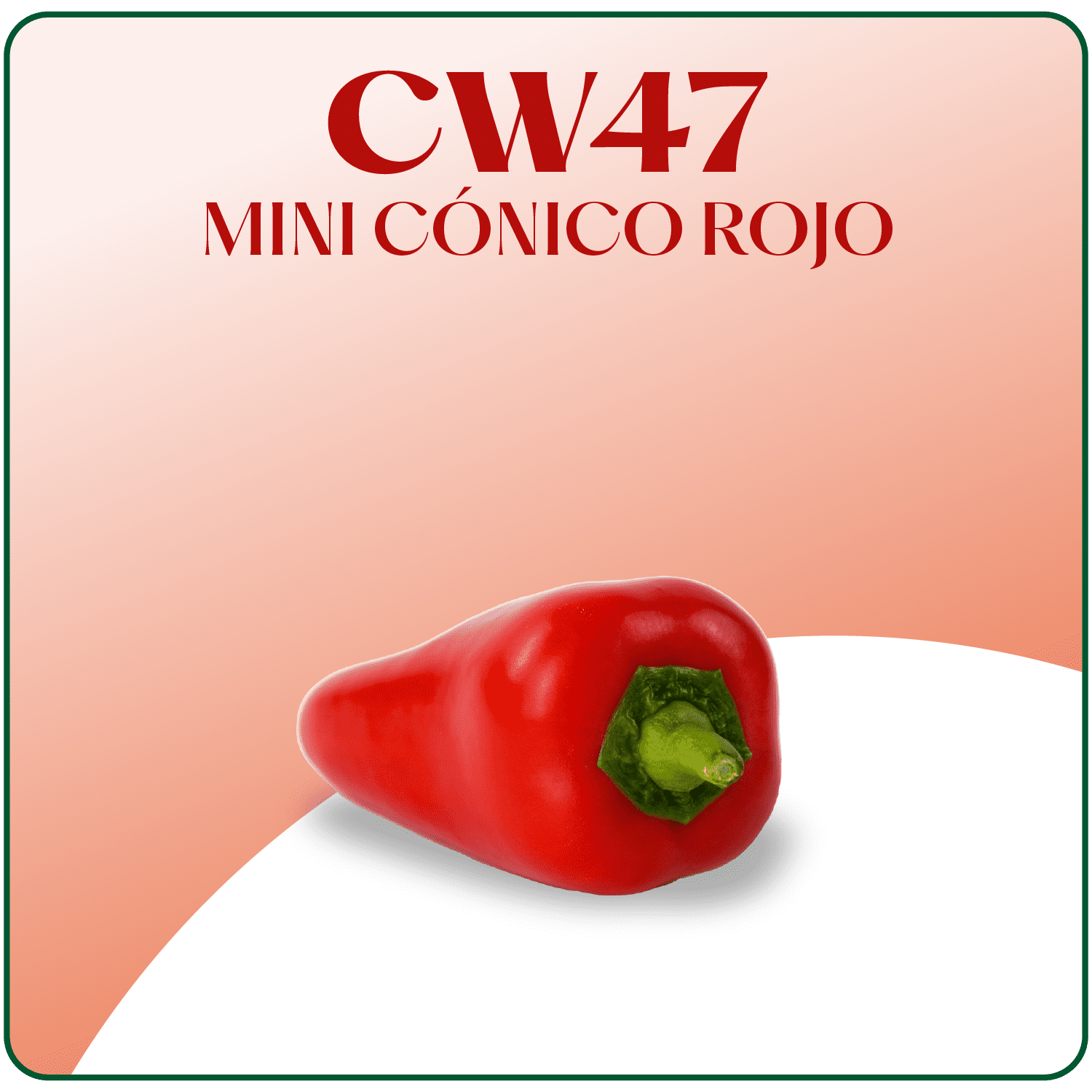 CW47