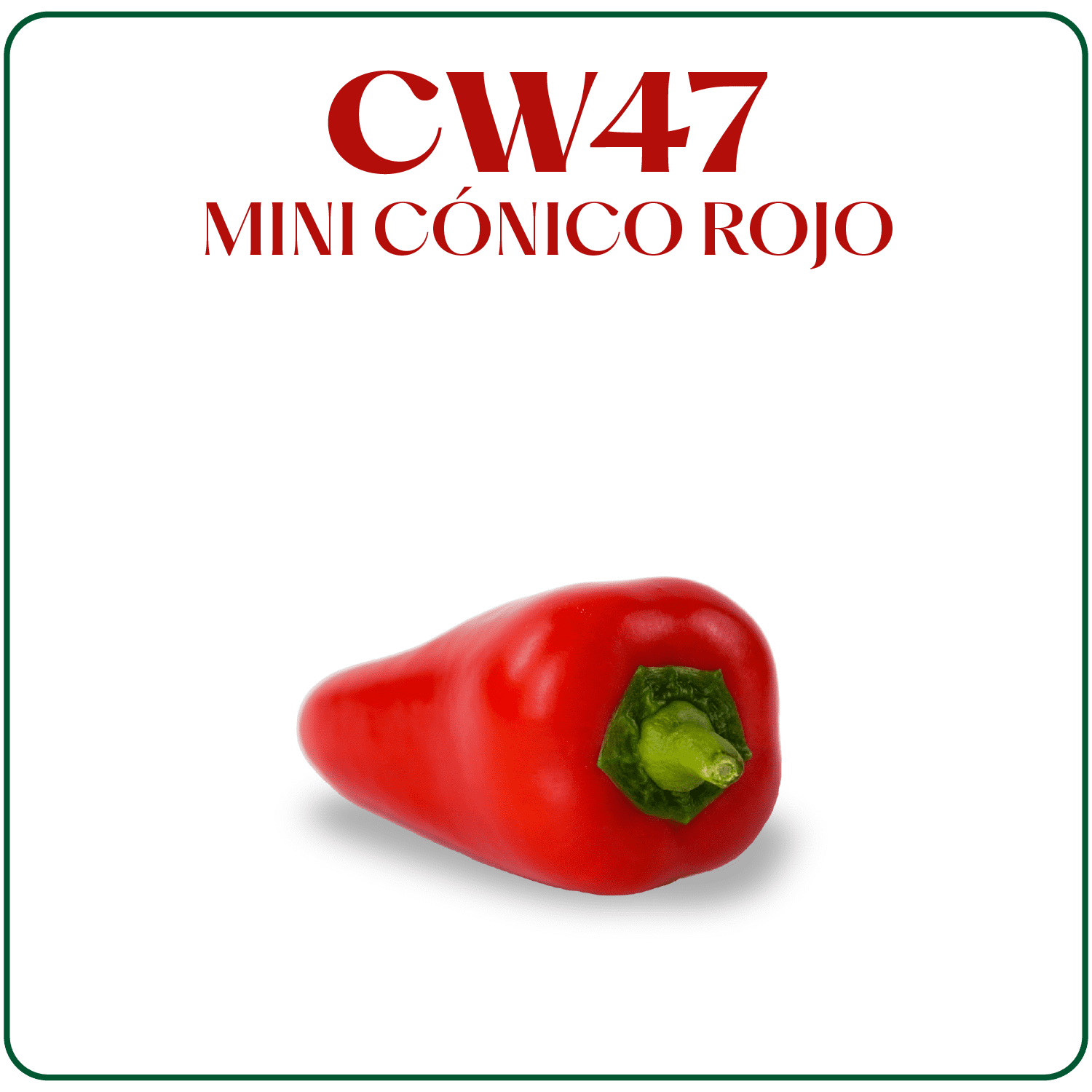 CW47