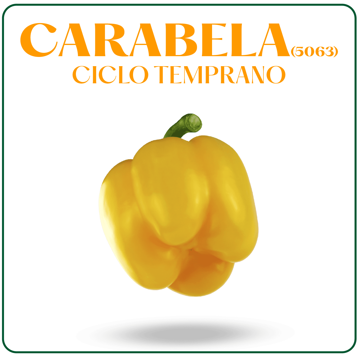 Carabela