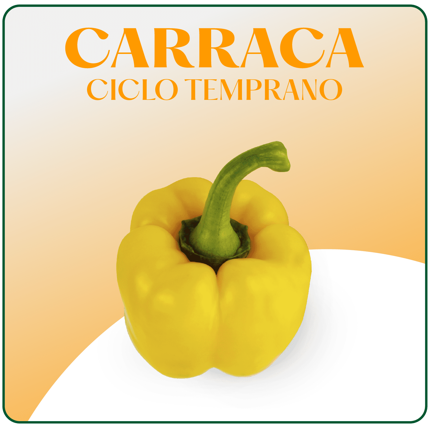 Carraca