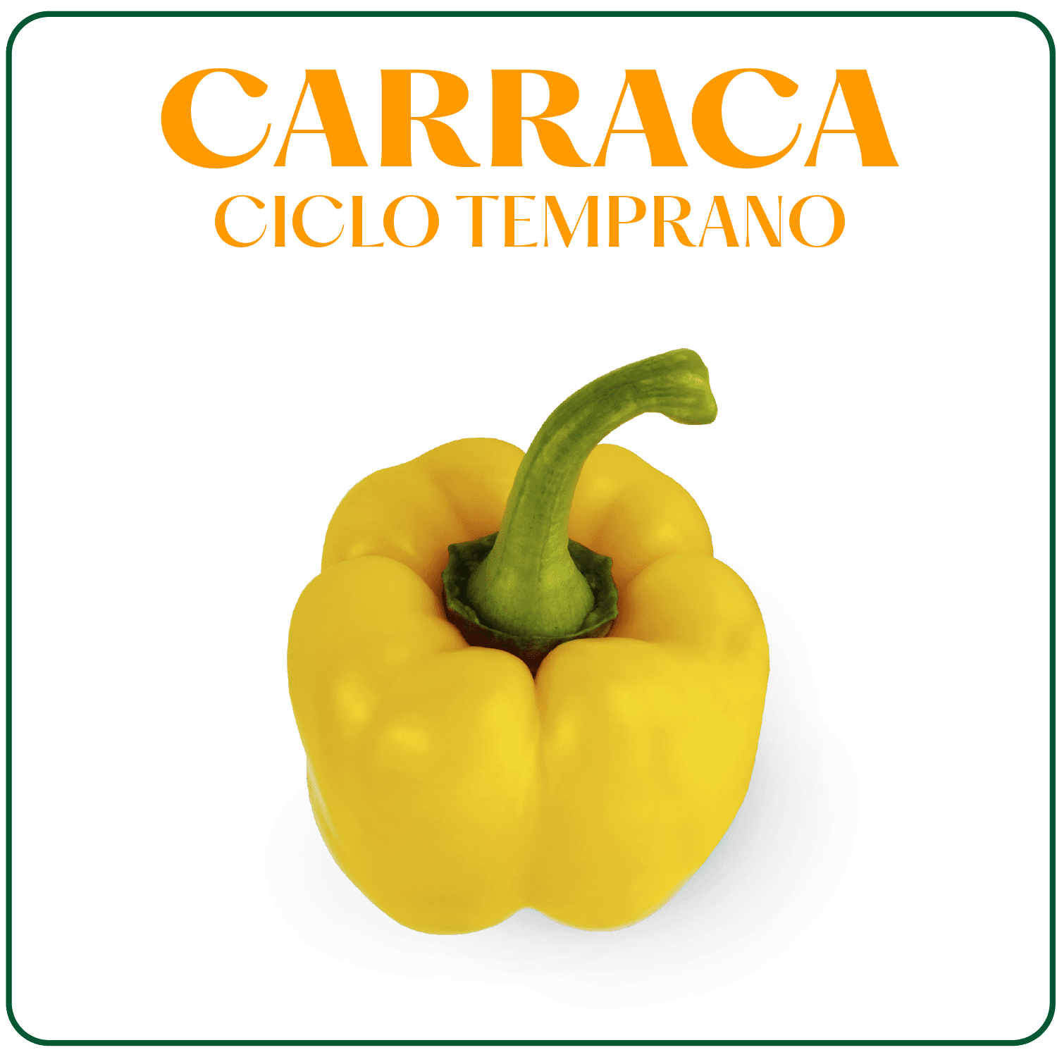 Carraca