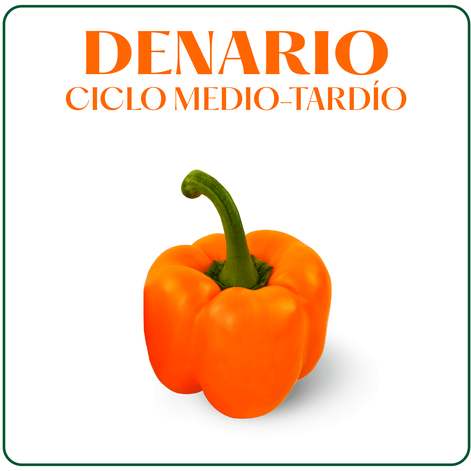 Denario