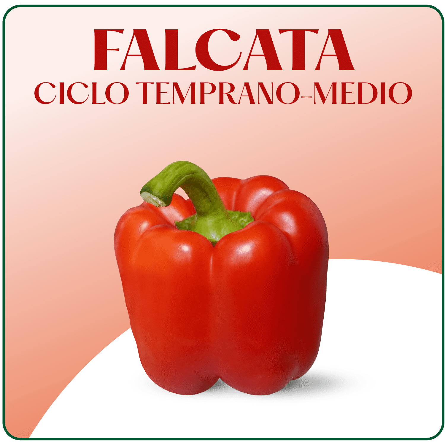 Falcata