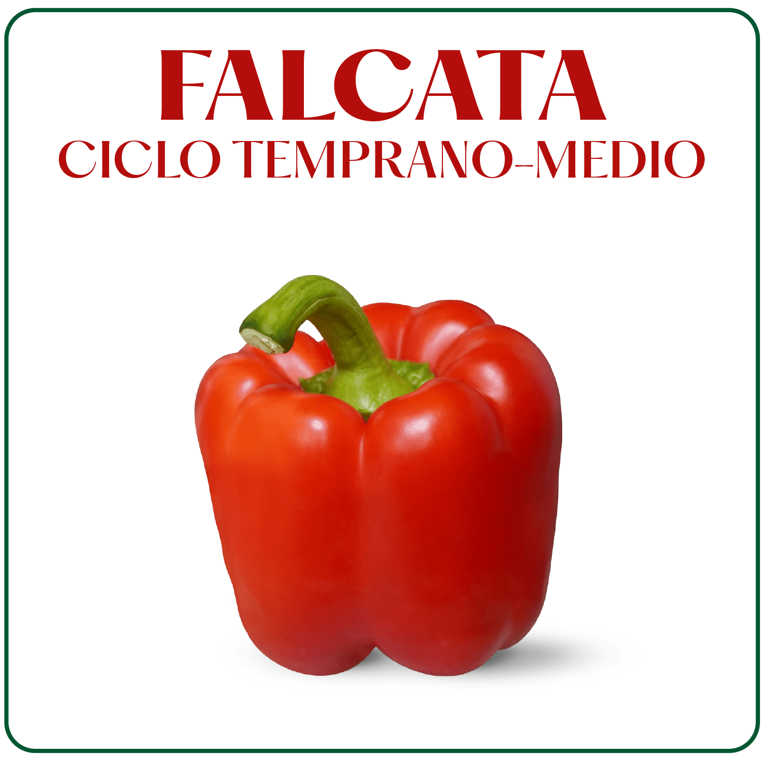 Falcata