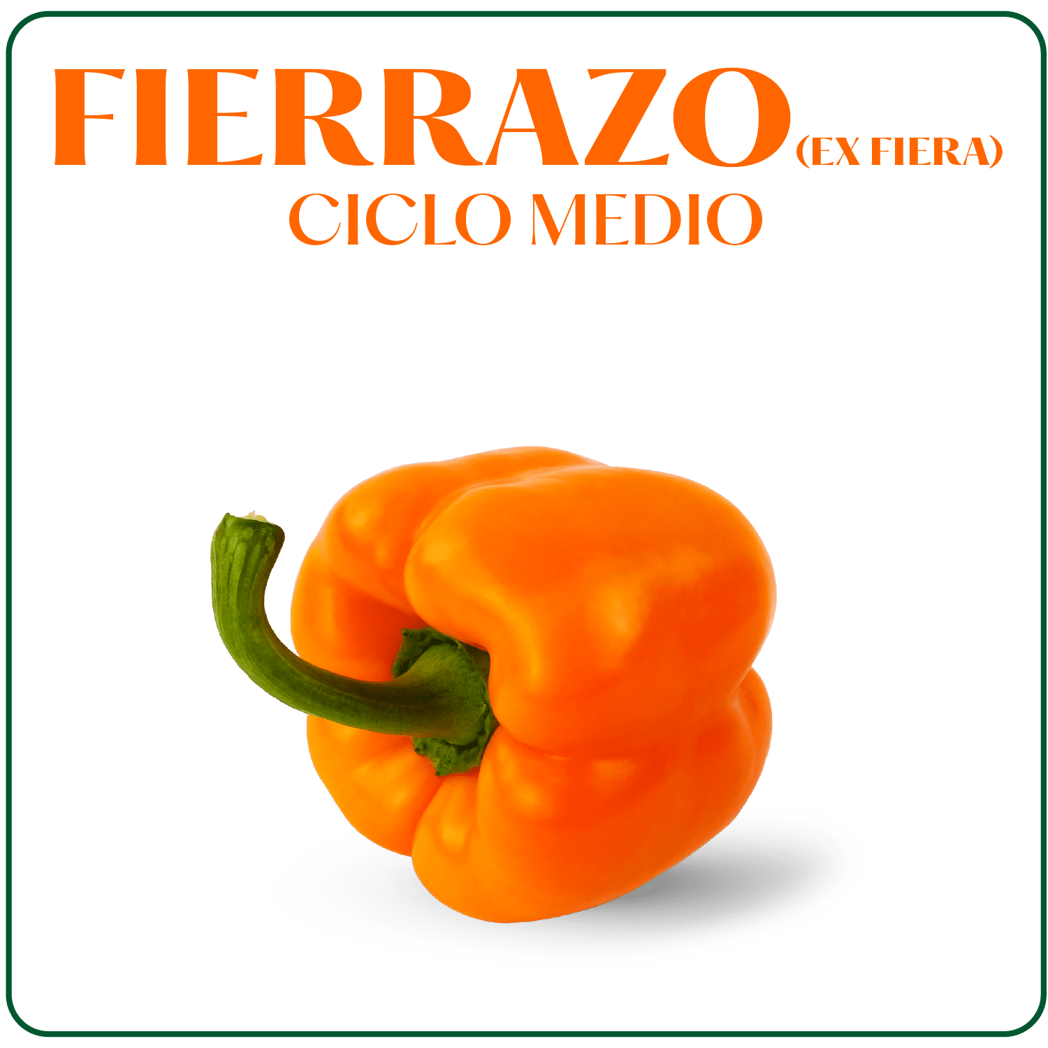 Fierrazo