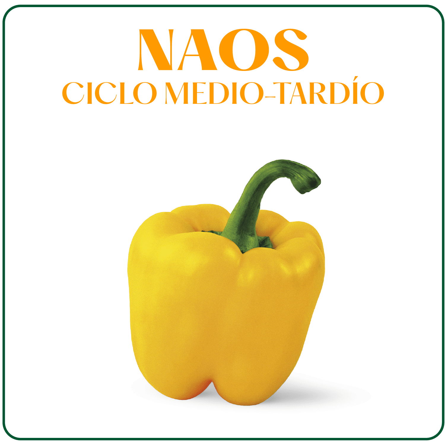 Naos