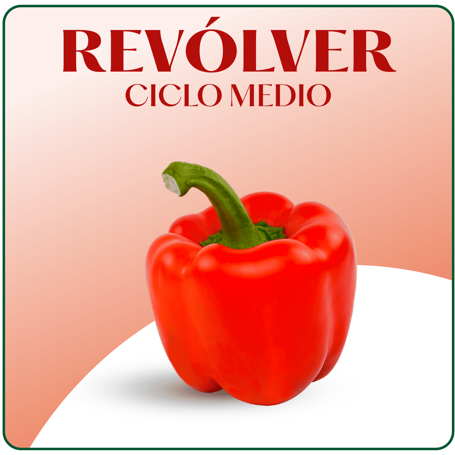 Revolver
