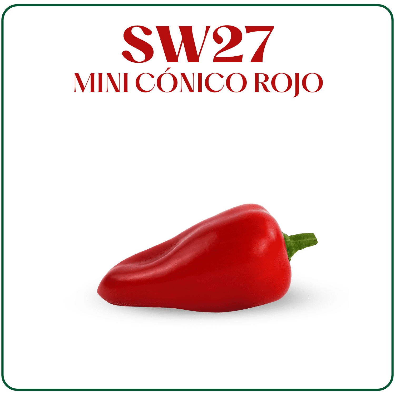 SW27