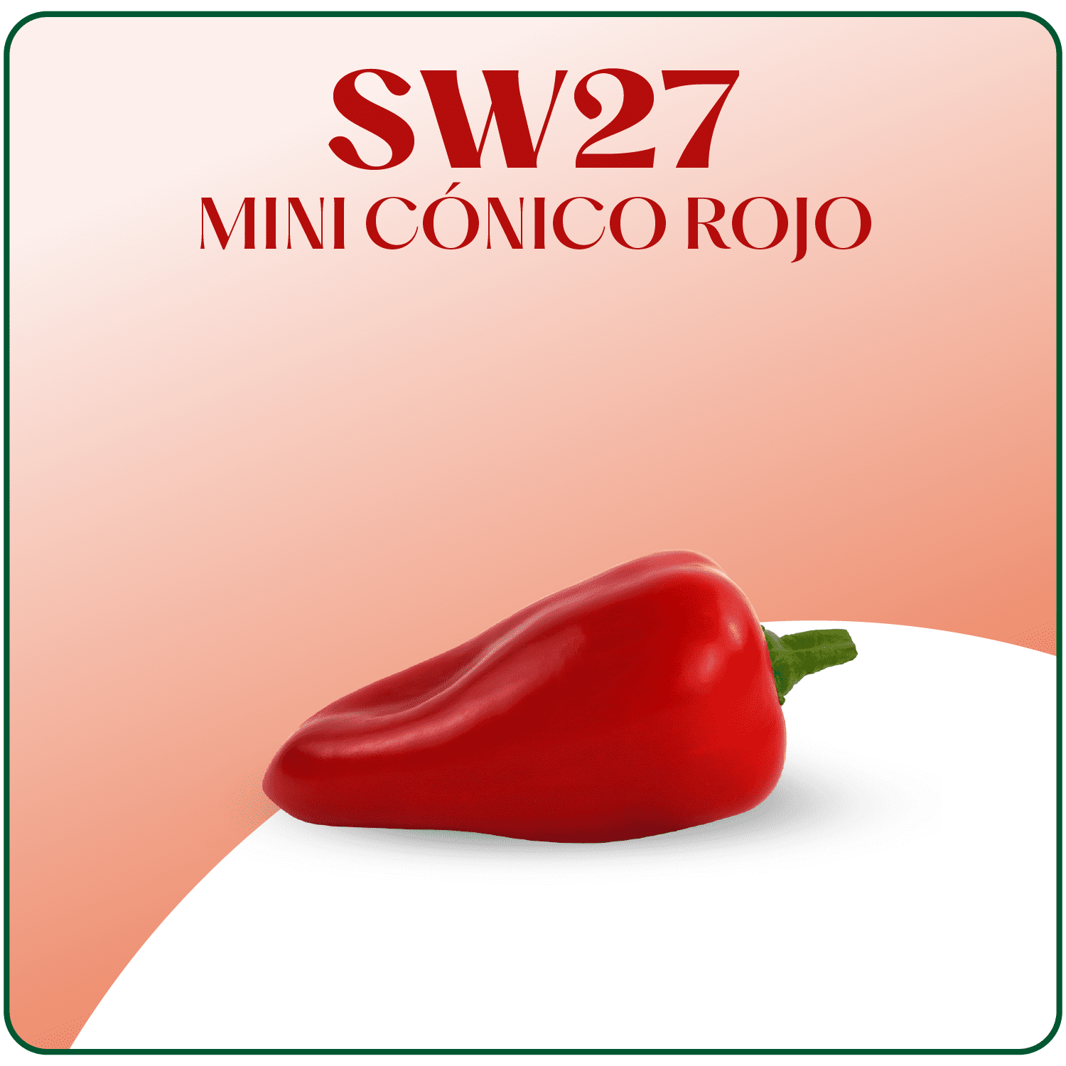 SW27
