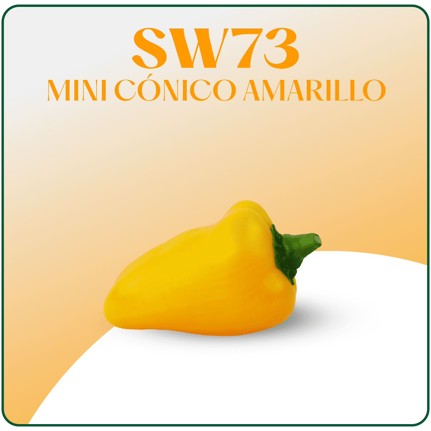 SW73