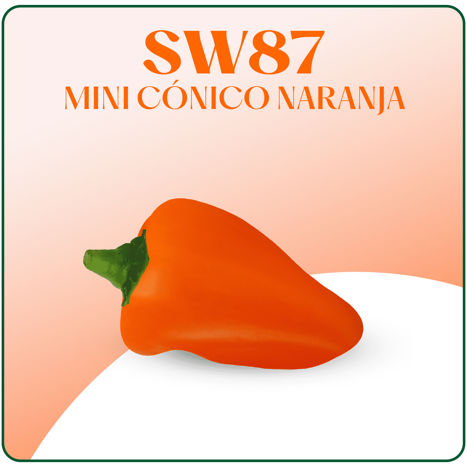 SW87