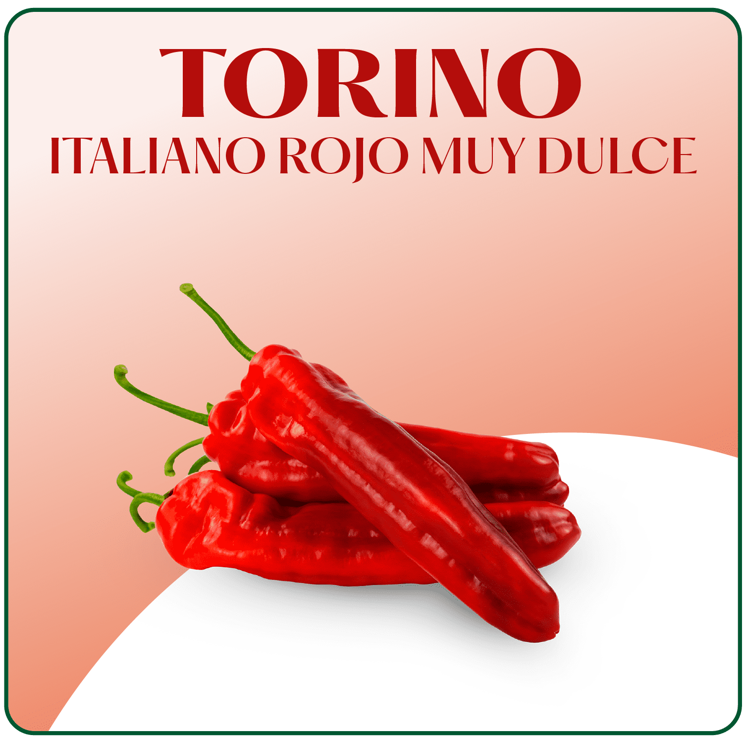 Pimiento Torino Surseeds Hover