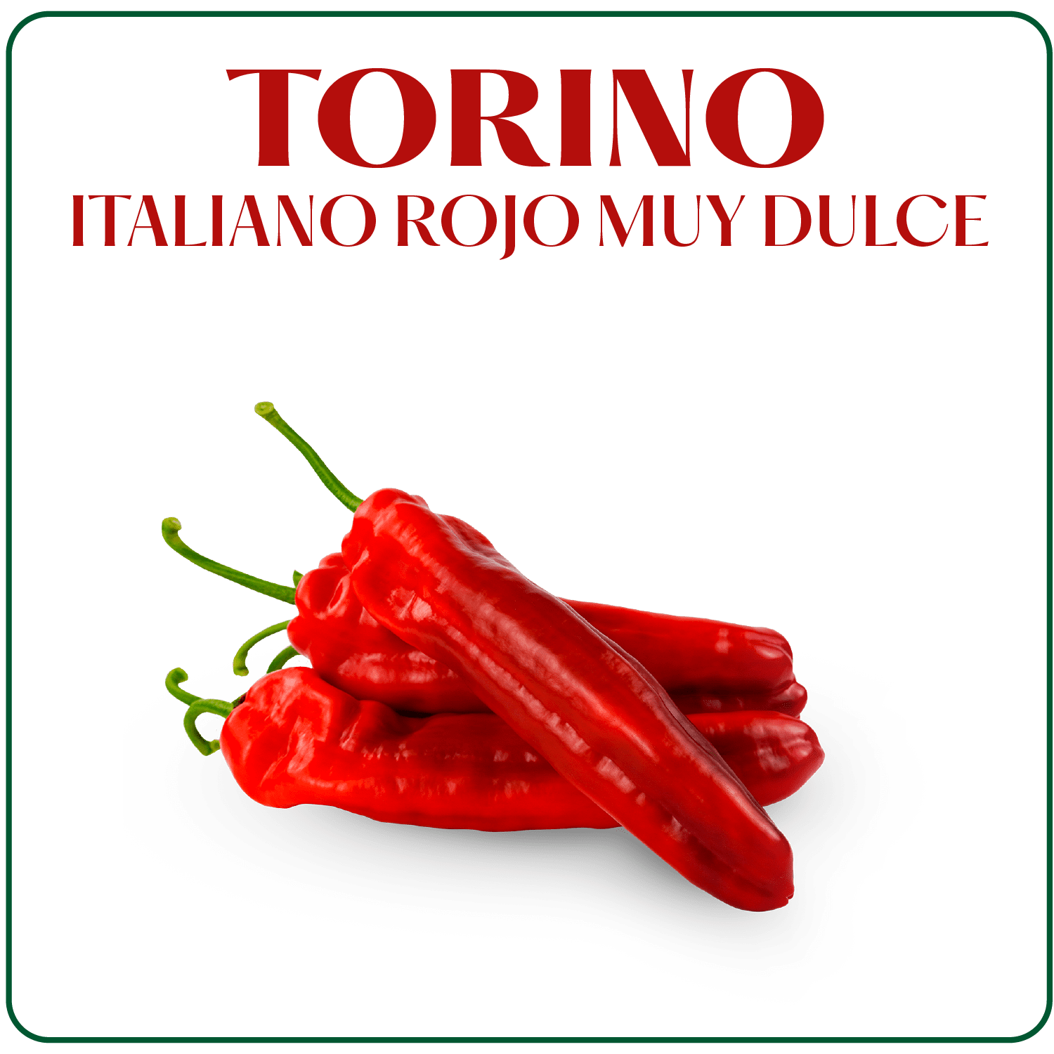 Pimiento Torino Surseeds