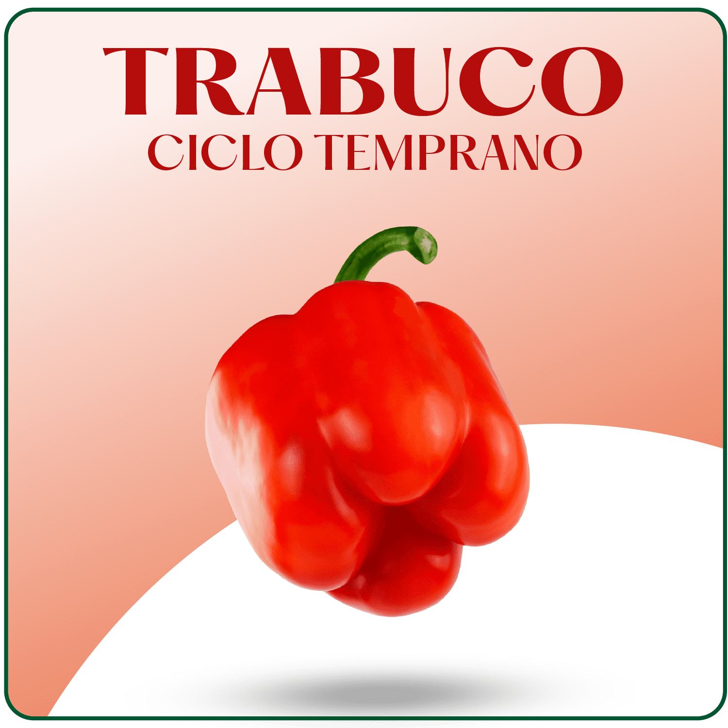 Trabuco