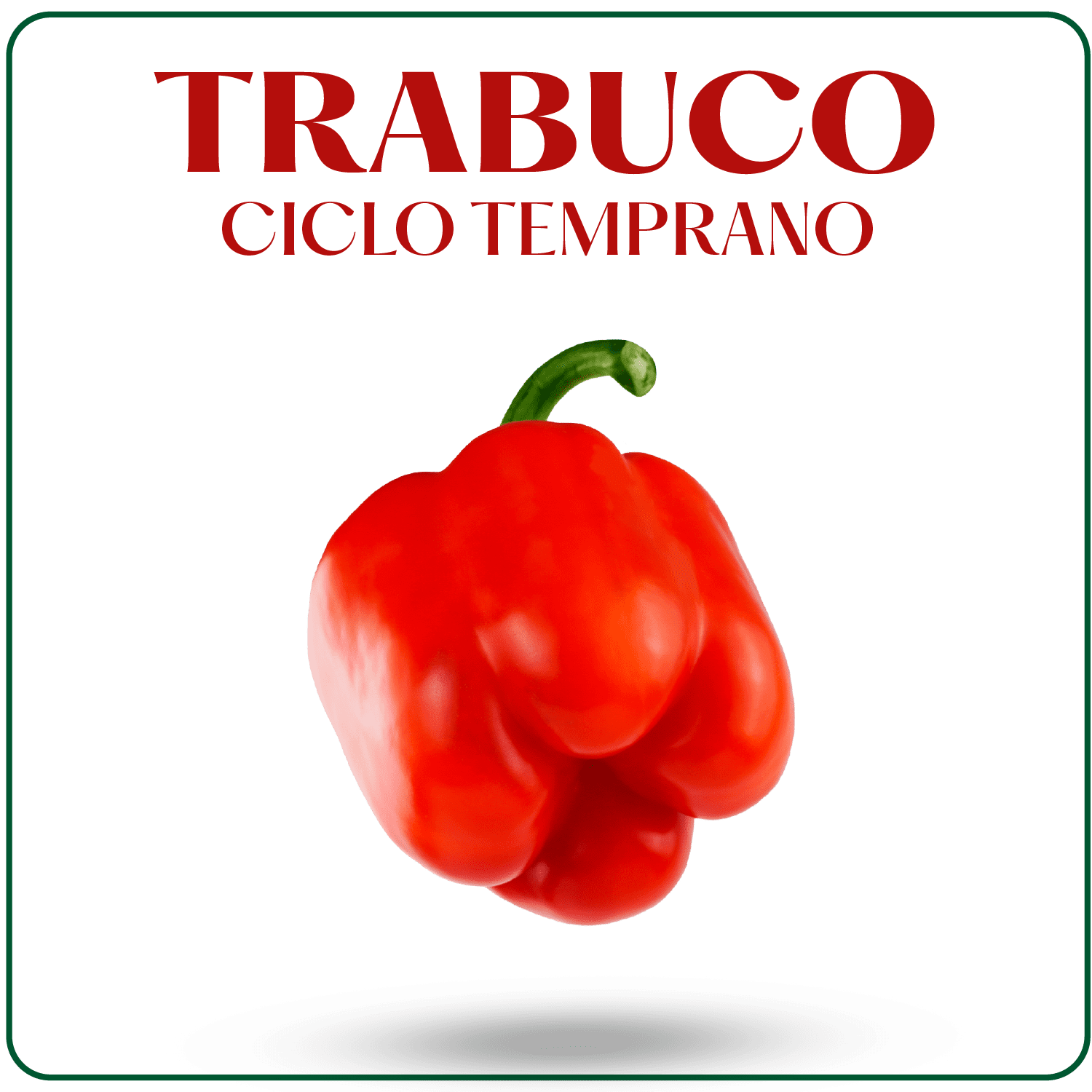 Trabuco