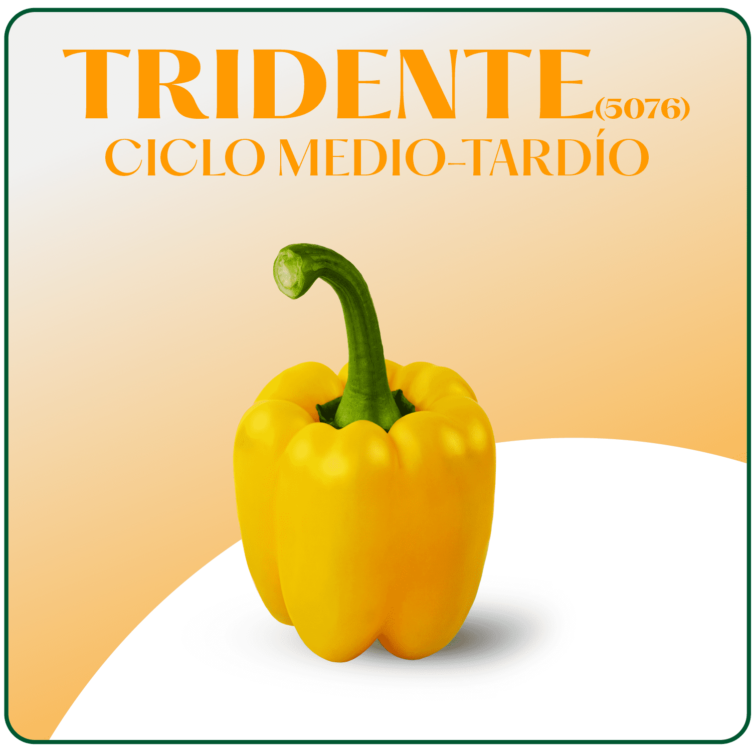Tridente