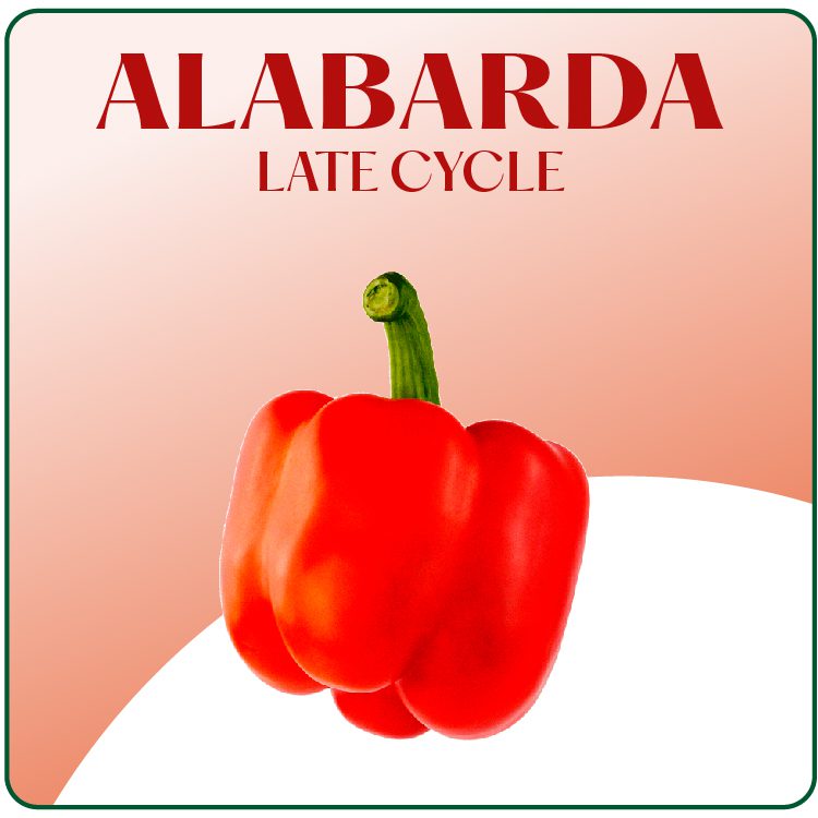 Alabarda