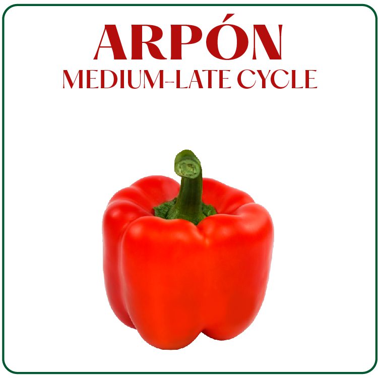 Arpon