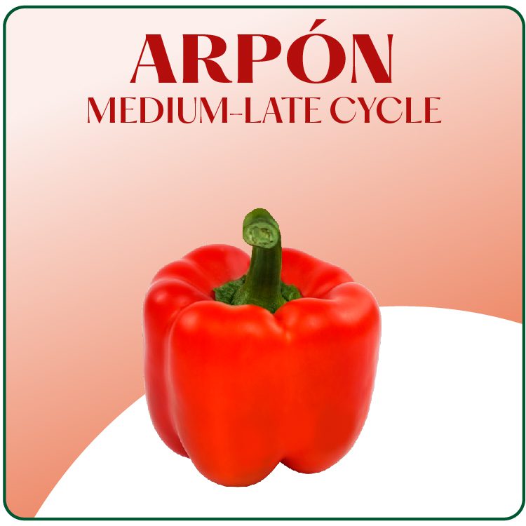 Arpon