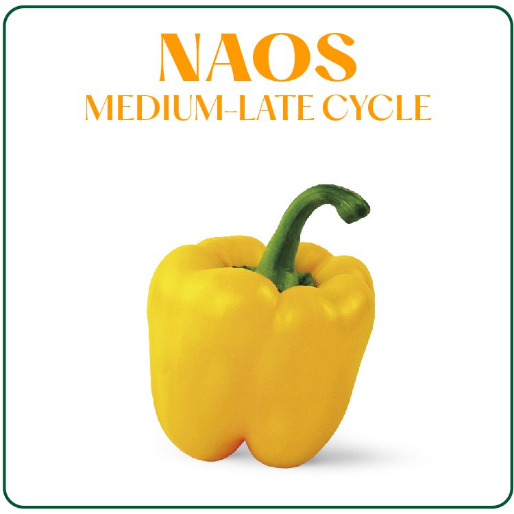 Naos
