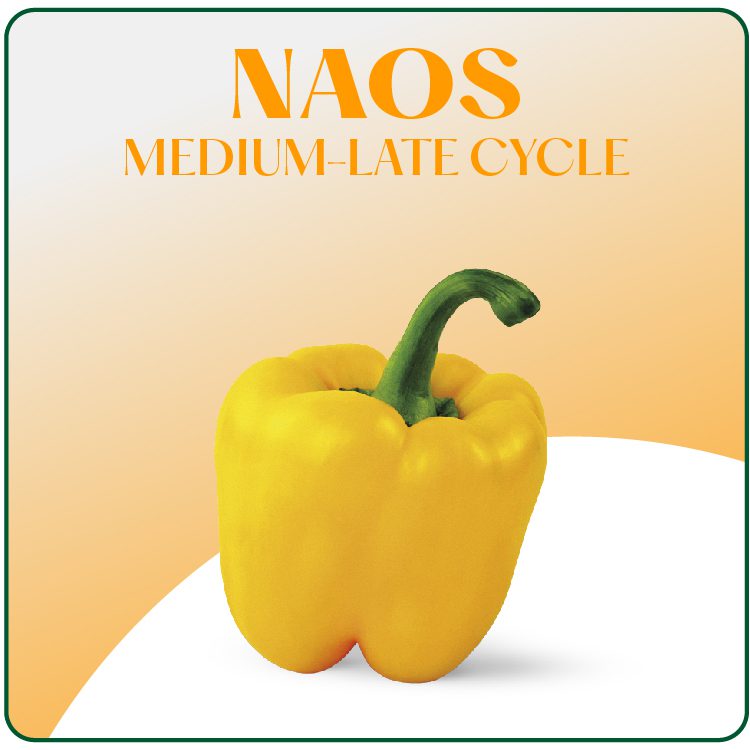 Naos