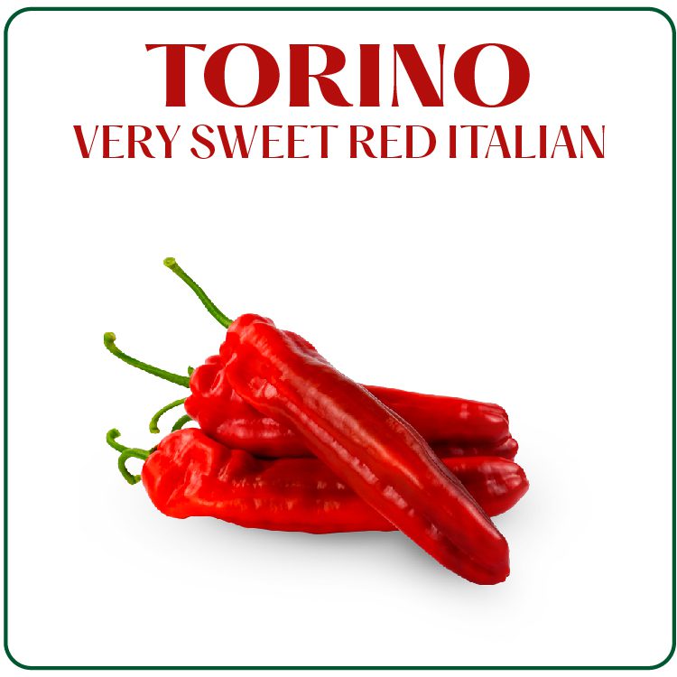 Productos Web Surseeds – Ingles_Mesa de trabajo 1 copia 42