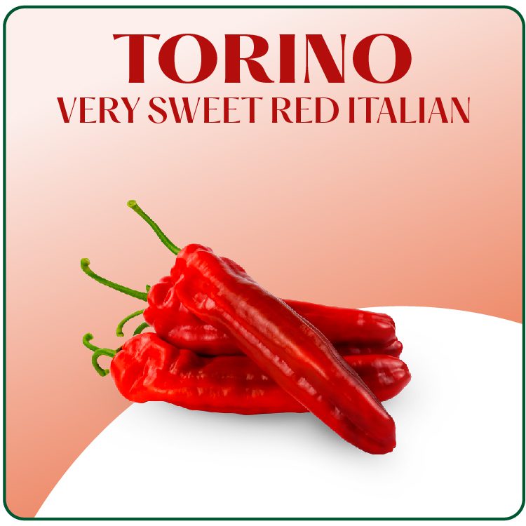 Productos Web Surseeds – Ingles_Mesa de trabajo 1 copia 43