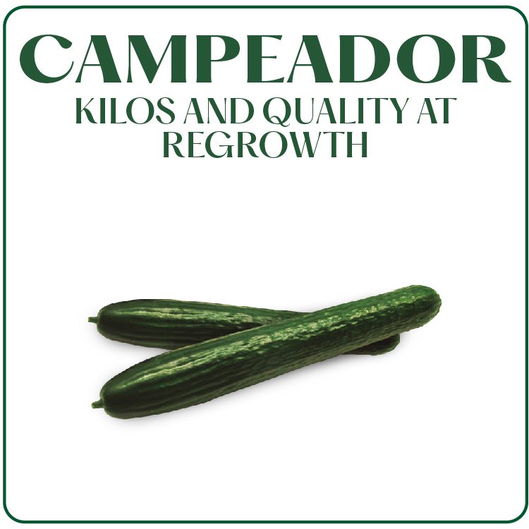 Productos Web Surseeds – Ingles_Mesa de trabajo 1 copia 48