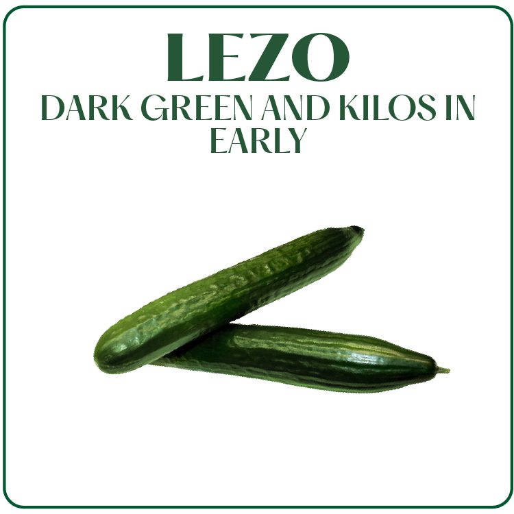 Productos Web Surseeds – Ingles_Mesa de trabajo 1 copia 50