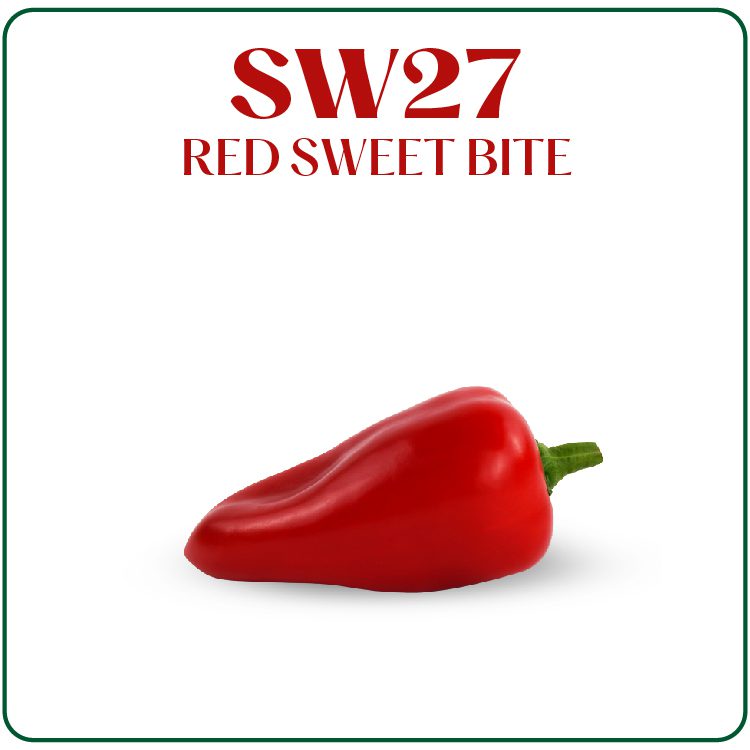 SW27