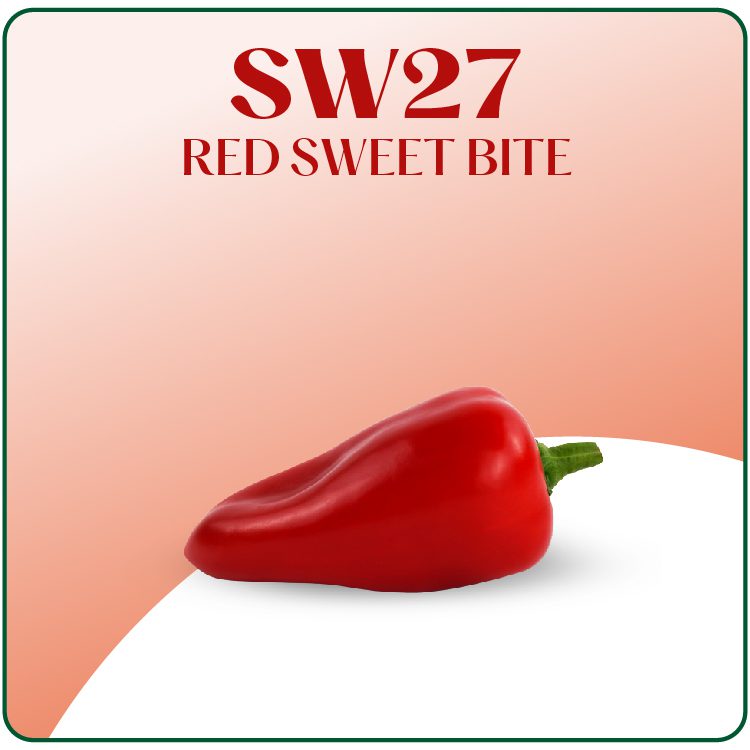 SW27