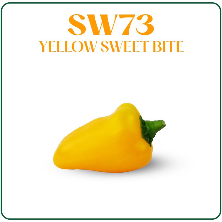 SW73