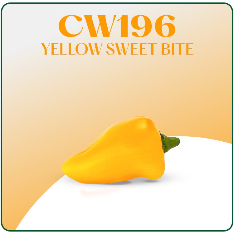 CW196