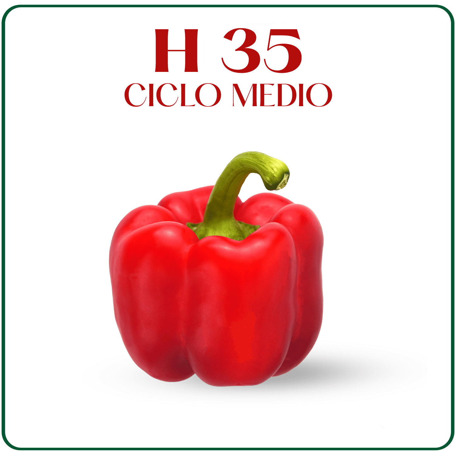 H-35