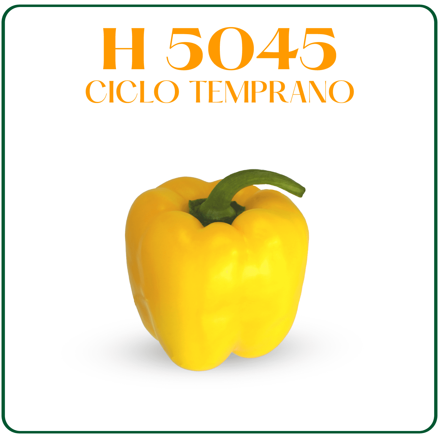 H-5045