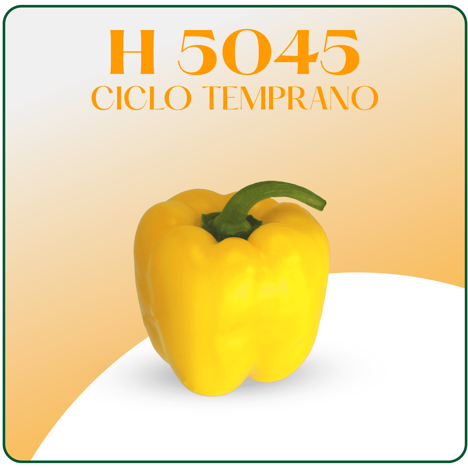 H-5045