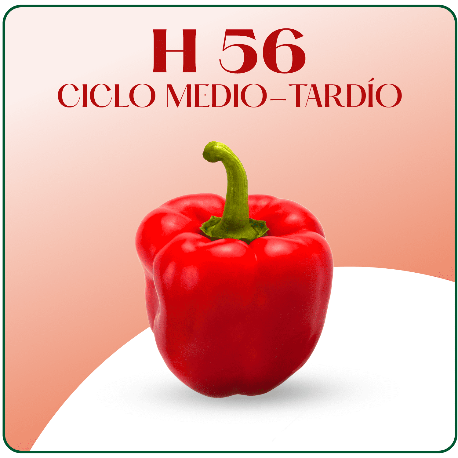 H-56